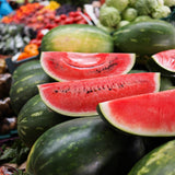 Pack 2 Watermelon Plants Live, Sweet Fruit Plant Gardening, 4-6 Inches Tall, Ready to Grow