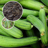 Pack 70 Luffa Sponge Gourd Seed for Planting, Luffa Vegetable Seeds for Planting, Loofah Seed