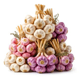 1 LB Jumbo Size Mixed Garlic for Planting in Spring, Softneck Hardneck Garlic Bulbs for Planting, Fresh and High Yield, Cold Hardy, Fast-Growing, 5-6 Bulbs Garlic