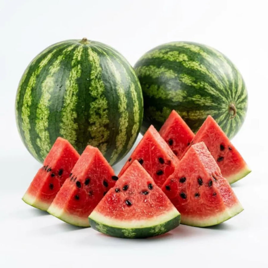2 Watermelon Plants Live, Sweet Watermelon Fruit Plant, Live Watermelons Plant, 4 to 6 Inch Tall, 2 Plants per Pot