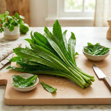 Culantro Plant Live, Culantro Plant, 3-5 Inc Tall, Edible and Fragrant Herbs, Indoor Outdoor Growing
