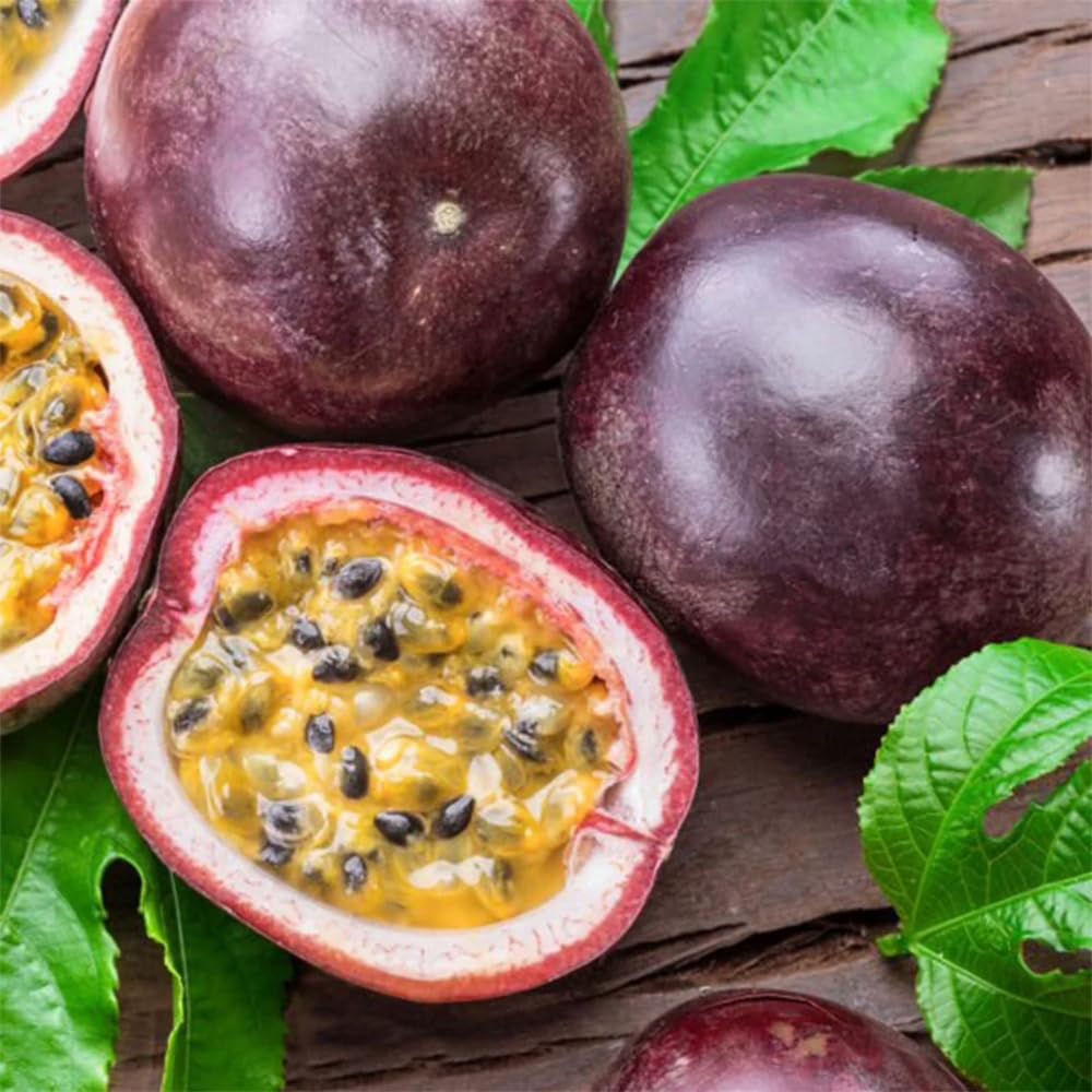 Purple Passion Fruit Plant Live, 10-12 Inches Tall in 4 Inch Pot, Passiflora Tropical Vine for Outdoor Growing, Passionfruit Seedling