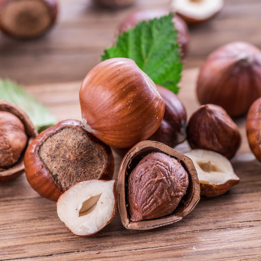 Hazelnut Bare Root Plant, Hazelnut Tree Live Plant, 12-16 Inc Tall, No Leaf, 1-2 Years Old Bare Root, Hardy Nut Tree for Outdoor Garden and Edible Landscape Growing