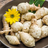 1Lb Jerusalem Artichoke Tubers, Sunchoke Jerusalem Artichoke Roots for Growing Home Garden