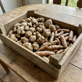 Set 3 Ginger, Jerusalem Artichoke and Turmeric Rhizomes for Garden Planting, Fresh Heirloom Roots for Gardens, Ready to Plant