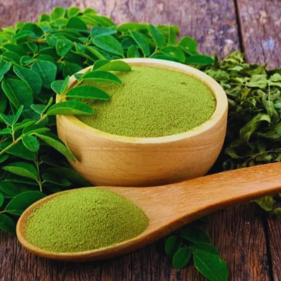 100 Moringa Oleifera Drumstick Seeds for Planting, Moringa Seeds, Herb Garden, Easy to Plant