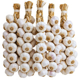 4 Large Solfneck Garlic Bulbs for Planting, Garlic for Planting, High-Yield Hardy Garlic for Garden