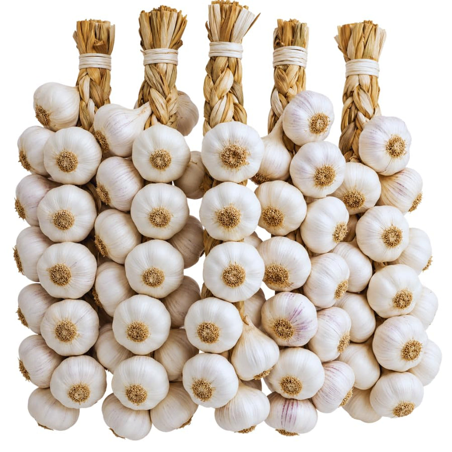 4 Large Solfneck Garlic Bulbs for Planting, Garlic for Planting, High-Yield Hardy Garlic for Garden