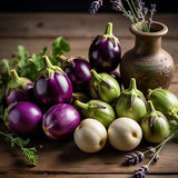 Pack of 100 Mixed Eggplant Seeds for Planting, Assorted Eggplant Vegetable Seeds for Outdoor Gardening, Suitable for Home Garden Beds, Raised Beds, or Containers