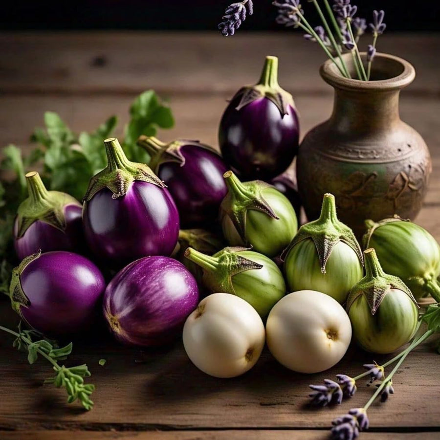 Pack of 100 Mixed Eggplant Seeds for Planting, Assorted Eggplant Vegetable Seeds for Outdoor Gardening, Suitable for Home Garden Beds, Raised Beds, or Containers