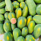 Papaya Plant Live, Papaya Seedling Live Plant, 4-8'' Tall, Well-Rooted, Sweet Fruit Tree for Outdoor Landscape
