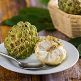 Sugar Apple Plant Live, 8 Inches Tall in 3 Inch Pot, Annona Squamosa Tropical Fruit Tree for Indoor or Outdoor Growing