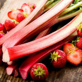 Set 5 Red Rhubarb Plants Roots for Planting, Rhubarb Root Plant, Rhubarb Plants Live Root, Hardy Vegetable
