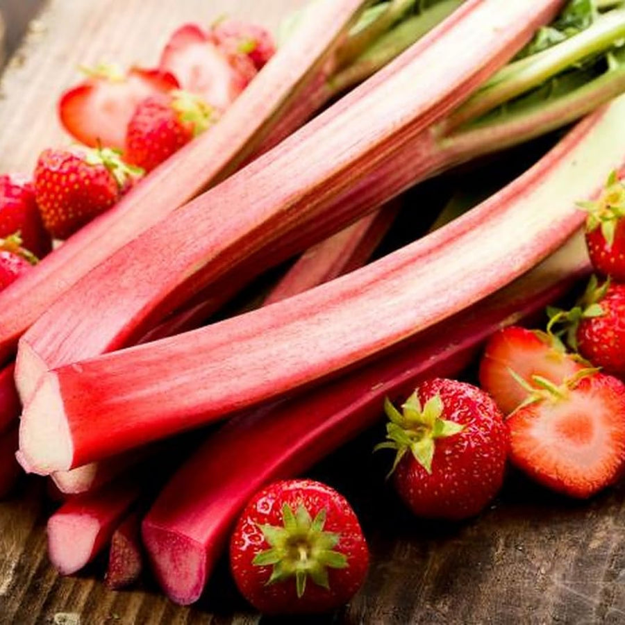 Set 5 Red Rhubarb Plants Roots for Planting, Rhubarb Root Plant, Rhubarb Plants Live Root, Hardy Vegetable