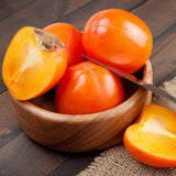 Persimmon Tree Live Plant, Quart Pot, Well Rooted, 8-10 Inches Tall, Cold Hardy Fruit Tree, Persimmon Tree for Backyard Outdoor Garden