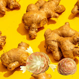 Live Awapuhi Shampoo Ginger Plant 5-10" in Tall, Cold Hardy Red Ginger Oudoor Planting, Pinecone Zerumbet Zingiber, Ginger Lily Flowers