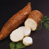 Set 5 Cassava Yuca Plants Cuttings, Sweet Yuca Plants Live, 6 to 8 Inc Tall, Sweet Manihot Root Unrooted