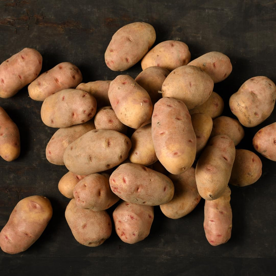 High Yielding Yukon Potato Tubers, 1 Pound Potatoes Plants Bulbs for Outdoor Growing,Vegetables Heirloom Potato Seeds Live Tuber for Home Garden