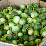 Pack of 100 Green Round Eggplant Seeds for Planting, Assorted Eggplant Vegetable Seeds for Outdoor Gardening, Suitable for Home Garden Beds, Raised Beds, or Containers