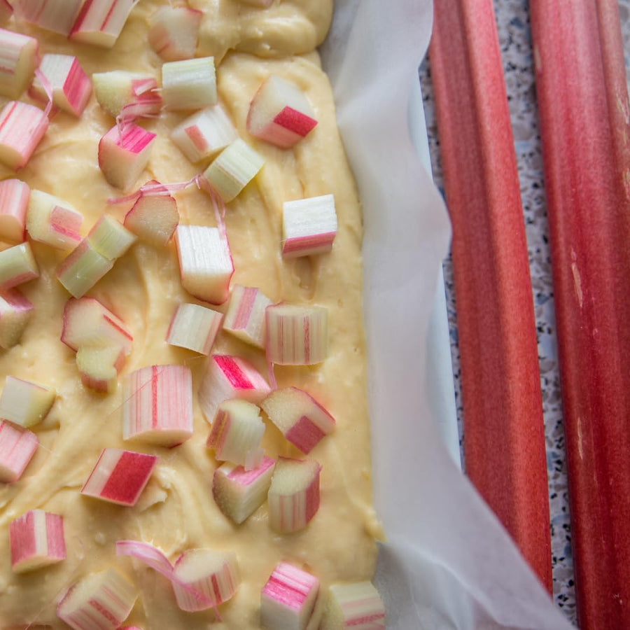 Pack of 100 Red Rhubarb Seeds for Planting, Rhubarb Plant Seeds for Outdoor Gardening, Perennial Vegetable Seeds for Home Garden Beds or Containers