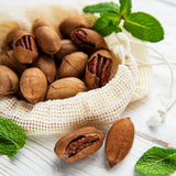 Pecan Seedling Live Plant, Pecan Nut Trees for Planting, Outdoor Tree Plants for Backyard Orchard, Landscape or Garden Growing, 8-10 Inches