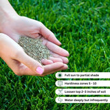 Set 20000 Zoysia Grass Seeds, Zoysia Grass Seed for Lawn, Soft Fine Ground Cover for Landscape, Yard and Walkway