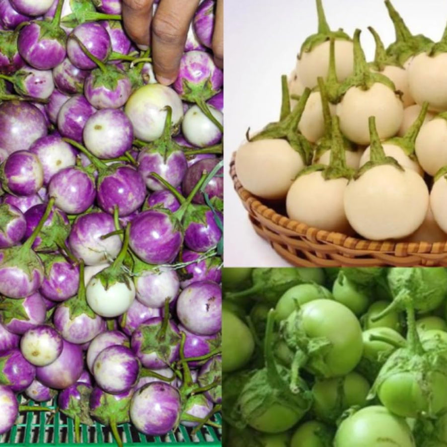 Pack of 100 Mixed Eggplant Seeds for Planting, Assorted Eggplant Vegetable Seeds for Outdoor Gardening, Suitable for Home Garden Beds, Raised Beds, or Containers