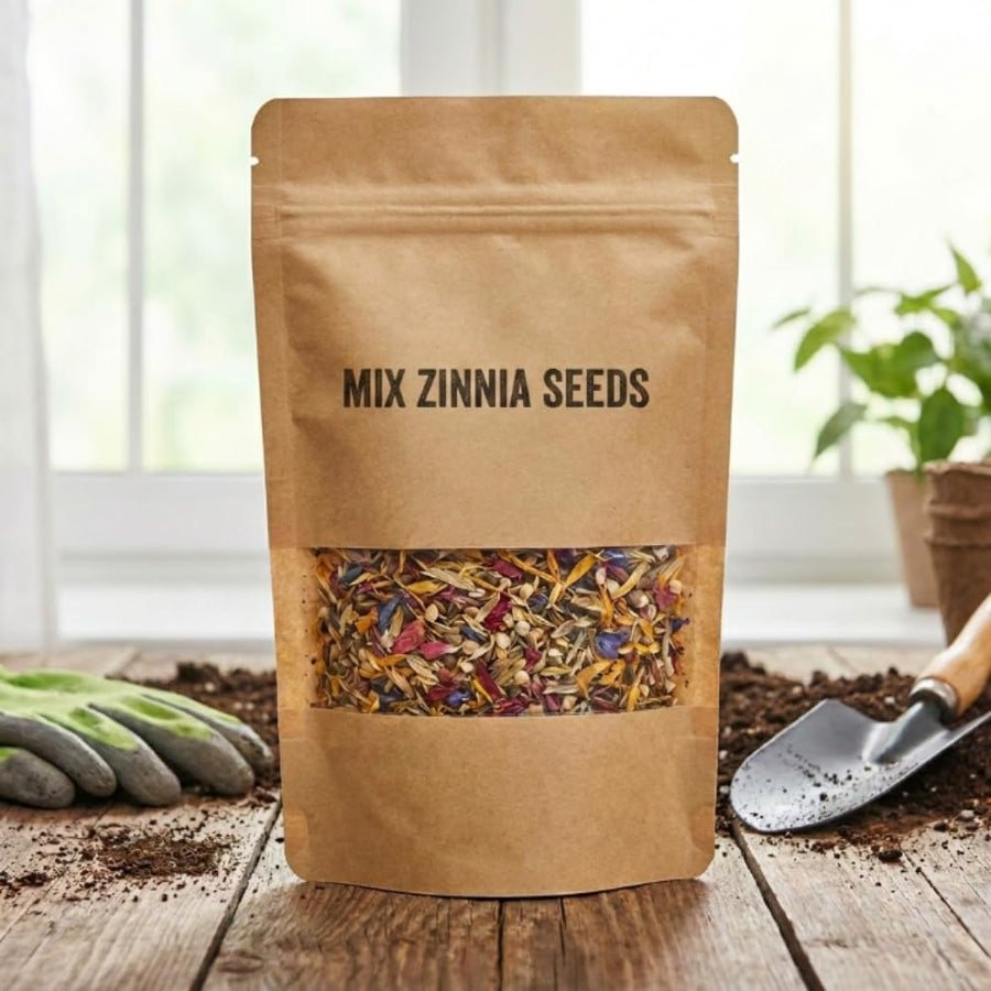 Set 250 Mix Zinnia Seeds for Planting, Heirloom Flower Seeds, Vibrant Zinnia Flowers for Indoor Outdoor Garden