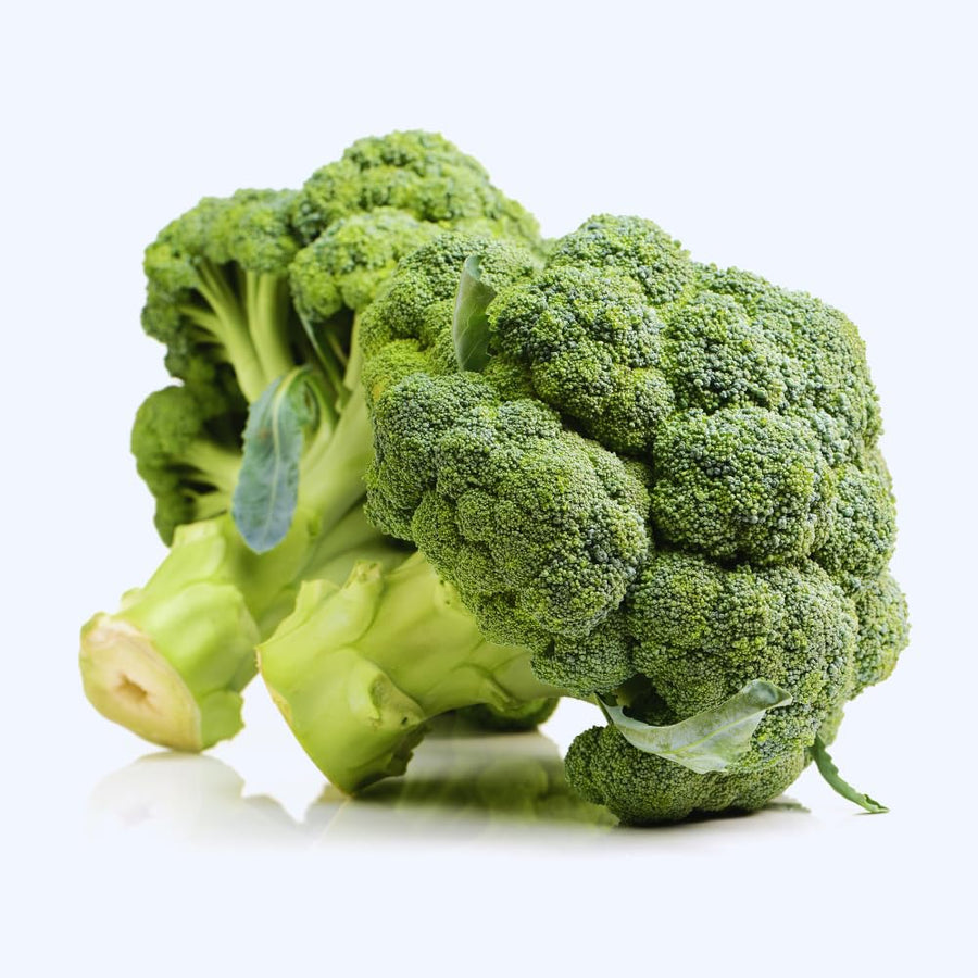4 Broccoli Plants Live, Vegetable Plant Live, Live Broccoli Plant Gardening Indoor and Outdoor Growing, 4 Inc Potted, 3 to 6 Inc Tall Plant