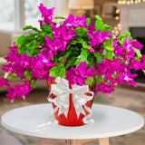 Pink Thanksgiving Cactus in 4" Pot for Spring Planting, Indoor Outdoor Home Decor