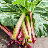 5 Rhubarb Plants for Planting, Red Stalks Rhubarb Roots, Large Size, Fast Growing, Hardy Perennial Vegetable for Outdoor Planting