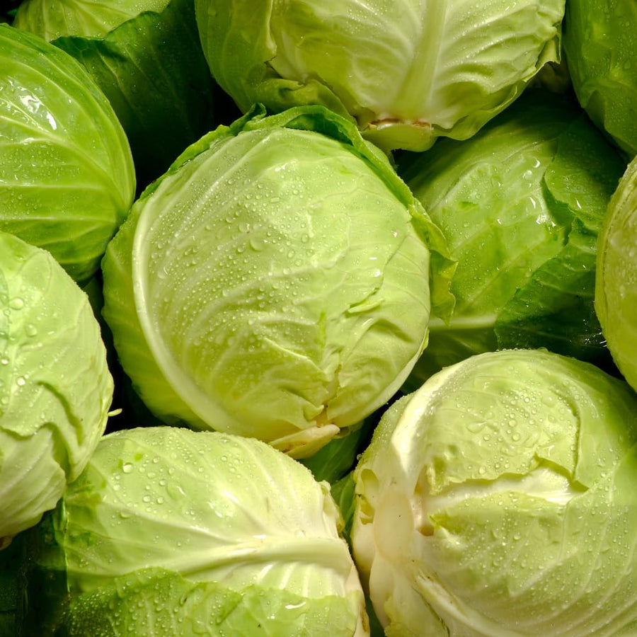 Set 500 Cabbage Seeds for Planting, Cabbage Seed, Cold Hardy, Green Vegetable for Outdoor Garden