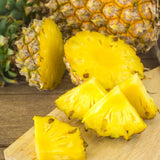 2 Gold Pineapple Plants Live 5 to 8 Inch Tall, Edible Pineapple Fruit Seedlings, Sweet Pineapple Trees