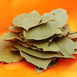 Sweet Bay Leaf Plant, Bay Laurel Tree Live Plant, Laurus Nobilis, 8 Inc Long, Container Garden Herb Plant Indoor Outdoor
