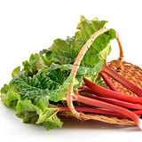 Pack 5 Rhubarb Roots Plants, Red Rhubarb Roots Vegetable for Planting, Hardy Perennial Vegetables