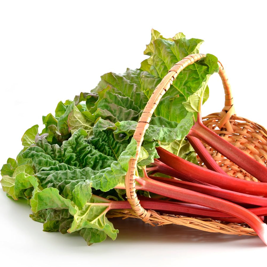 Pack 5 Rhubarb Roots Plants, Red Rhubarb Roots Vegetable for Planting, Hardy Perennial Vegetables