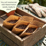 Pack 400 Sweet Watermelon Seeds, Watermelon Seeds for Planting, Sweet and Seedless Fruit, Melon Seed for Outdoor Garden