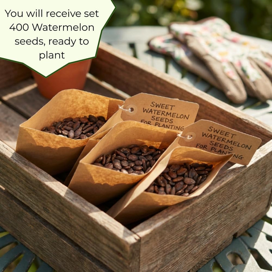 Pack 400 Sweet Watermelon Seeds, Watermelon Seeds for Planting, Sweet and Seedless Fruit, Melon Seed for Outdoor Garden