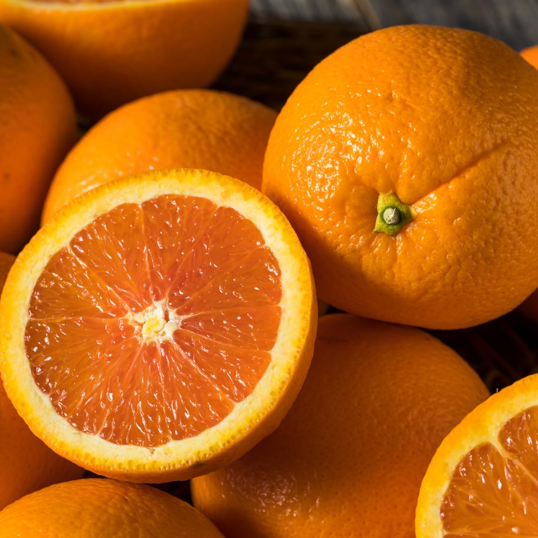 Live Navel Orange Tree, Seedless Sweet Orange Fruit, 3-4 Feet Tall, Ready for Planting
