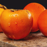 2 American Persimmon Trees Live Plants Seedlings, 1 Year Old, 7 to 14 Inches Tall, Dormant in Winter, Persimmon Fruit Tree, Cold Hardy