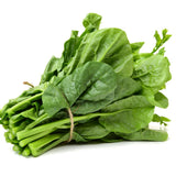 Live Malabar Spinach Plant Potted 5 to 7 Inch Long Vegetable Plant Live for Gardening Outdoor