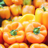 Pack 50 Orange Sweet Bell Pepper Seeds, Sweet Pepper Seeds for Garden, Vegetable Planting Seed