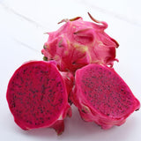 Red Dragon Fruit Plant Live Pot 4 Inc, Dragon Fruit Tree