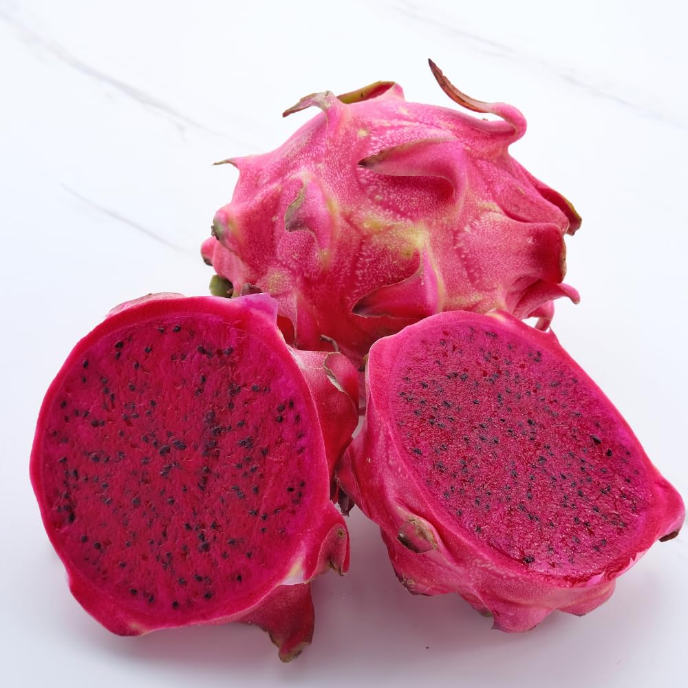 Red Dragon Fruit Plant Live Pot 4 Inc, Dragon Fruit Tree