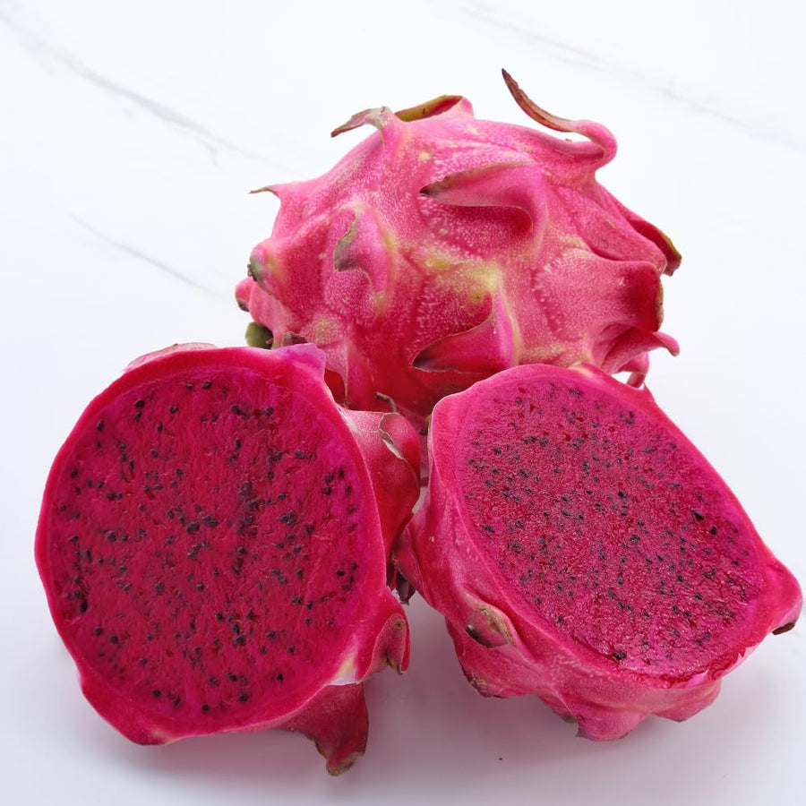 Red Dragon Fruit Plant Live Pot 4 Inc, Dragon Fruit Tree