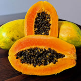 Dwaft Papaya Tree Live Plant 8 to 12 Inc Tall in Half Gallon Pot, Starter Plant Well-Rooted Fresh Fruit Plant Tropical Zones 9-11, No CA