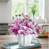 Pink Wandering Jew Live Plant, Tradescantia Nanouk Live Houseplant, Rare Nanouk Pink Wandering Jew Live Plants Indoor (2 Inch Pot)