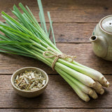 800 Lemongrass Seeds, Perennial Lemon Grass Herb, Lemongrass for Outdoor Landscape