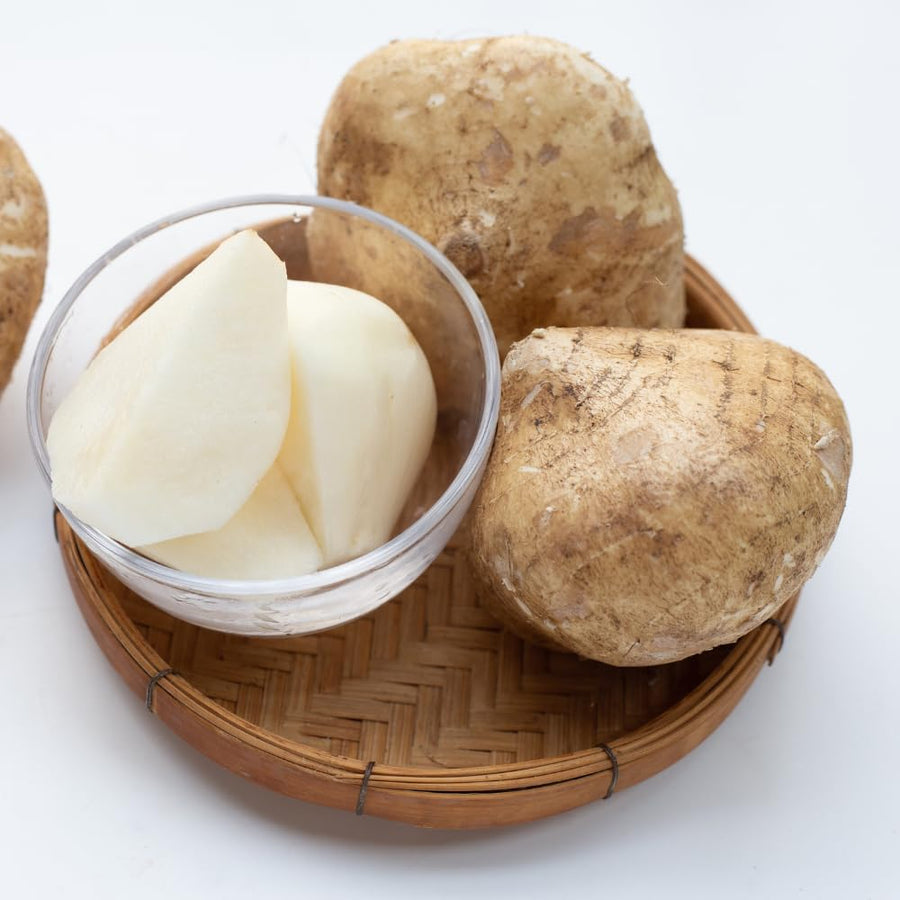 96 Jicama Seeds for Planting, Heirloom Jicama Seed, Strong Climbing Plant, Vegetable Garden