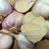 4 Softneck Garlic Bulbs for Planting, Large Seed Garlic, High Yield, Easy to Grow for Fall and Spring Garden